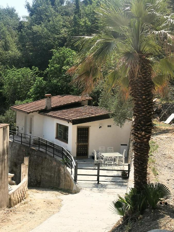 La Casa Degli Ulivi Villa Camporosso  Dış mekan fotoğraf
